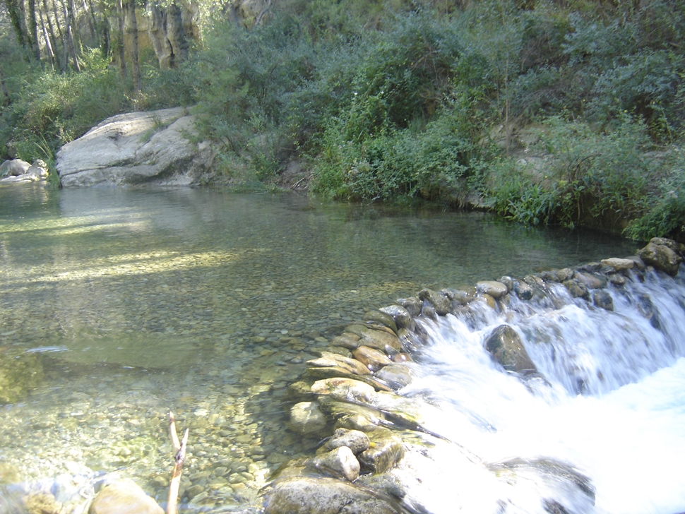 Ana S Mas de Borras Verano 2015