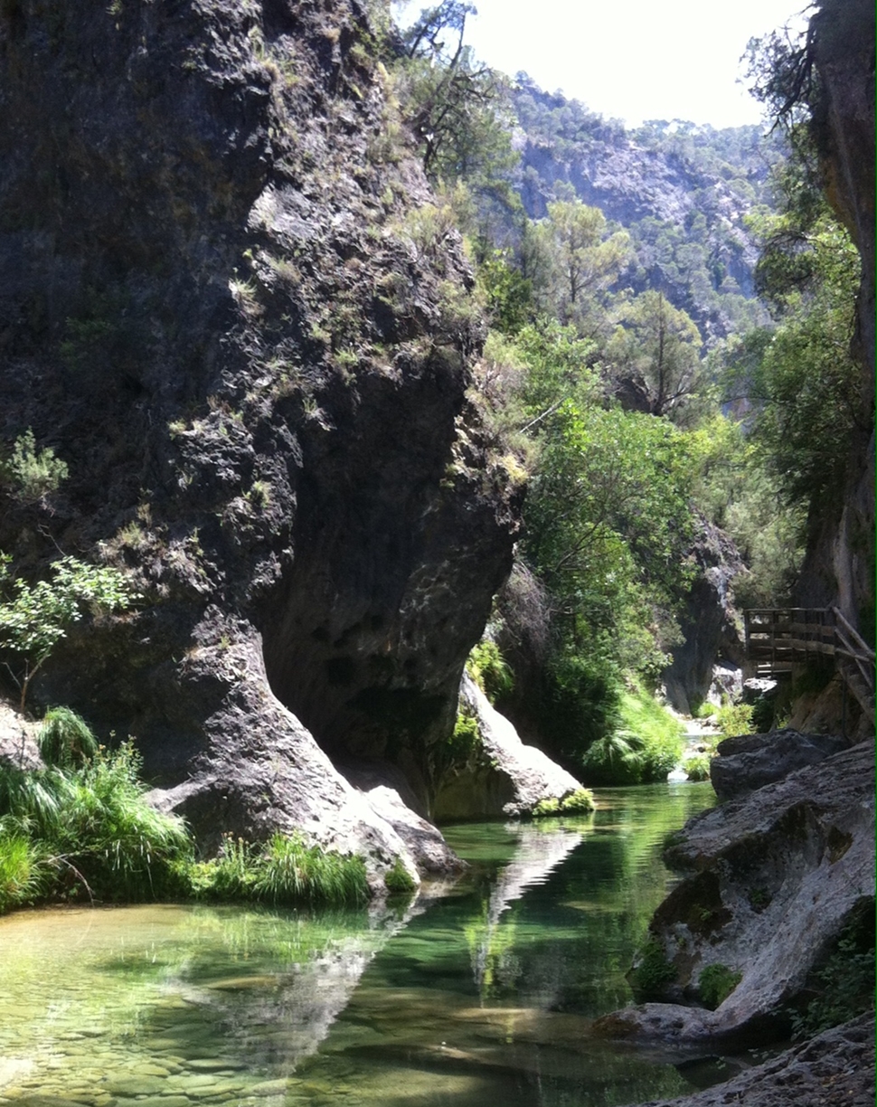 Antonio P Cazorla Verano 2015