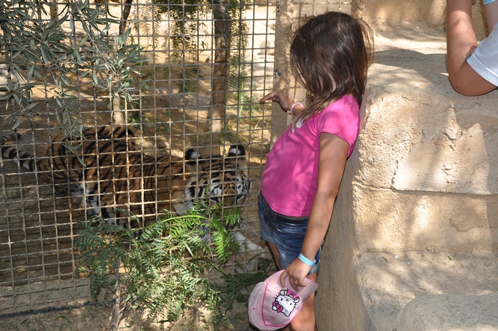 Jonatan G. Cabo de Gata Verano 2015 01