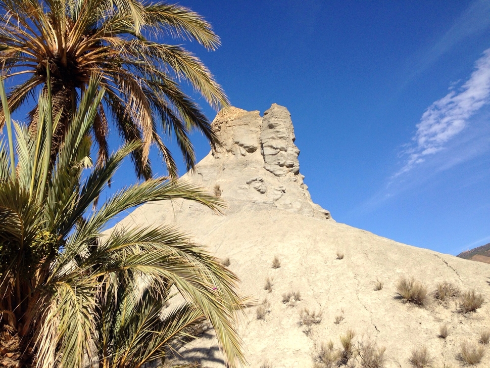 Rosina H Cabo de Gata Verano 2015 01