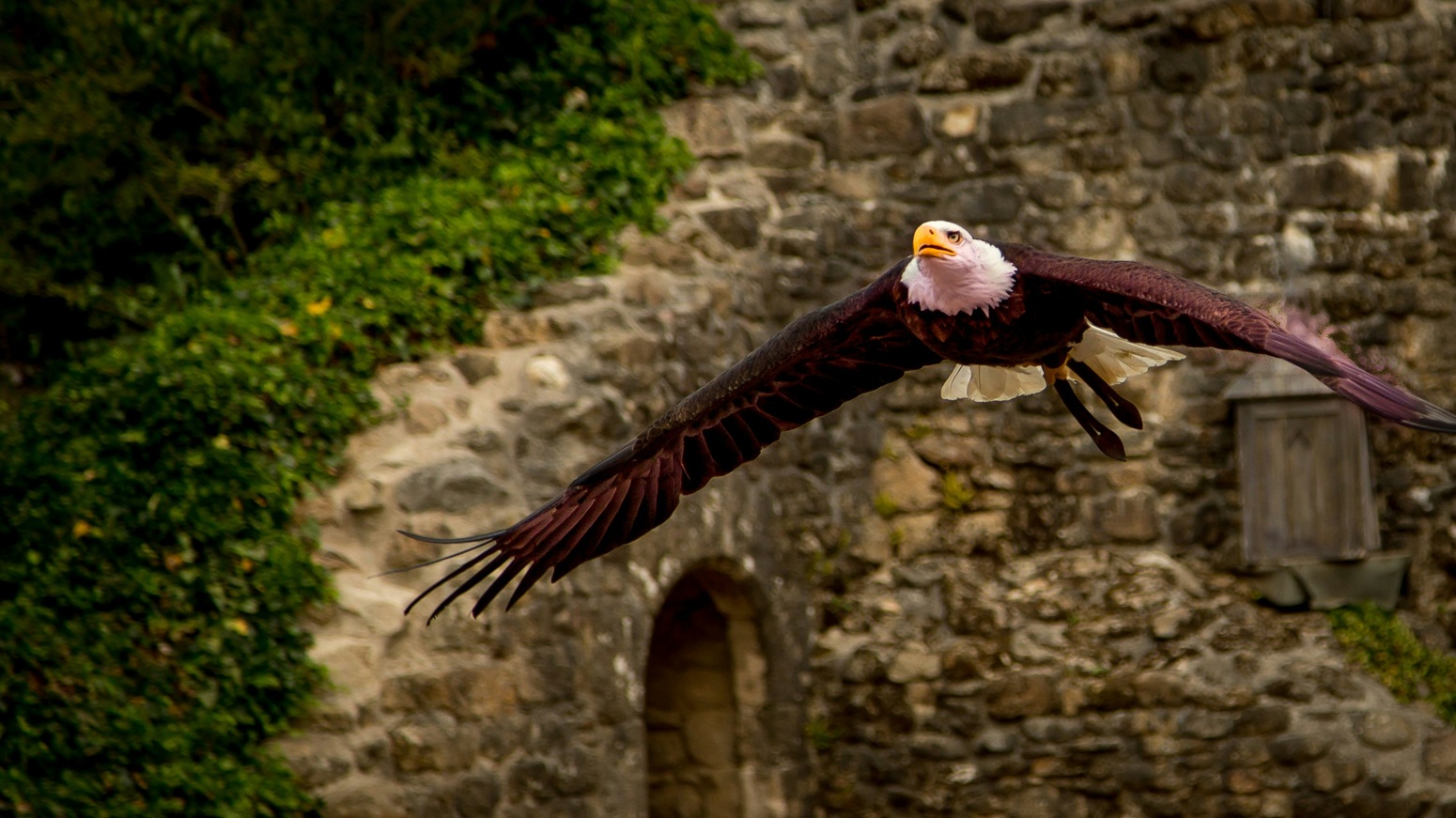 BIENVENIDOS A PUY DU FOU