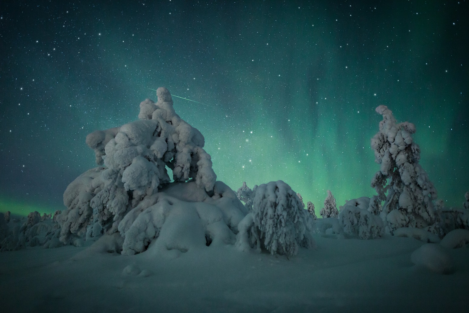la nive cubre el paisaje de Laponia