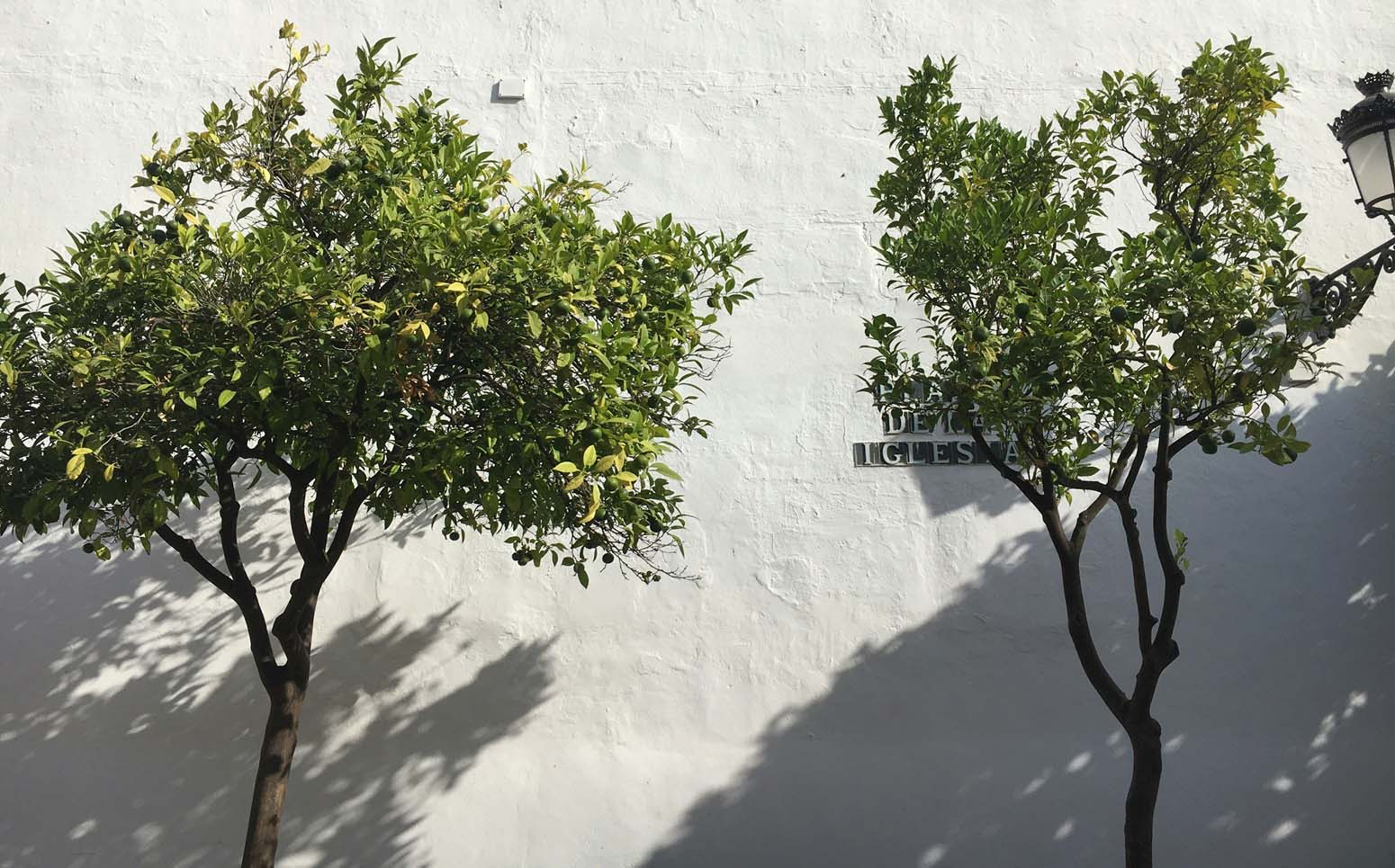 marbella es un lugar especial de la Costa del Sol 