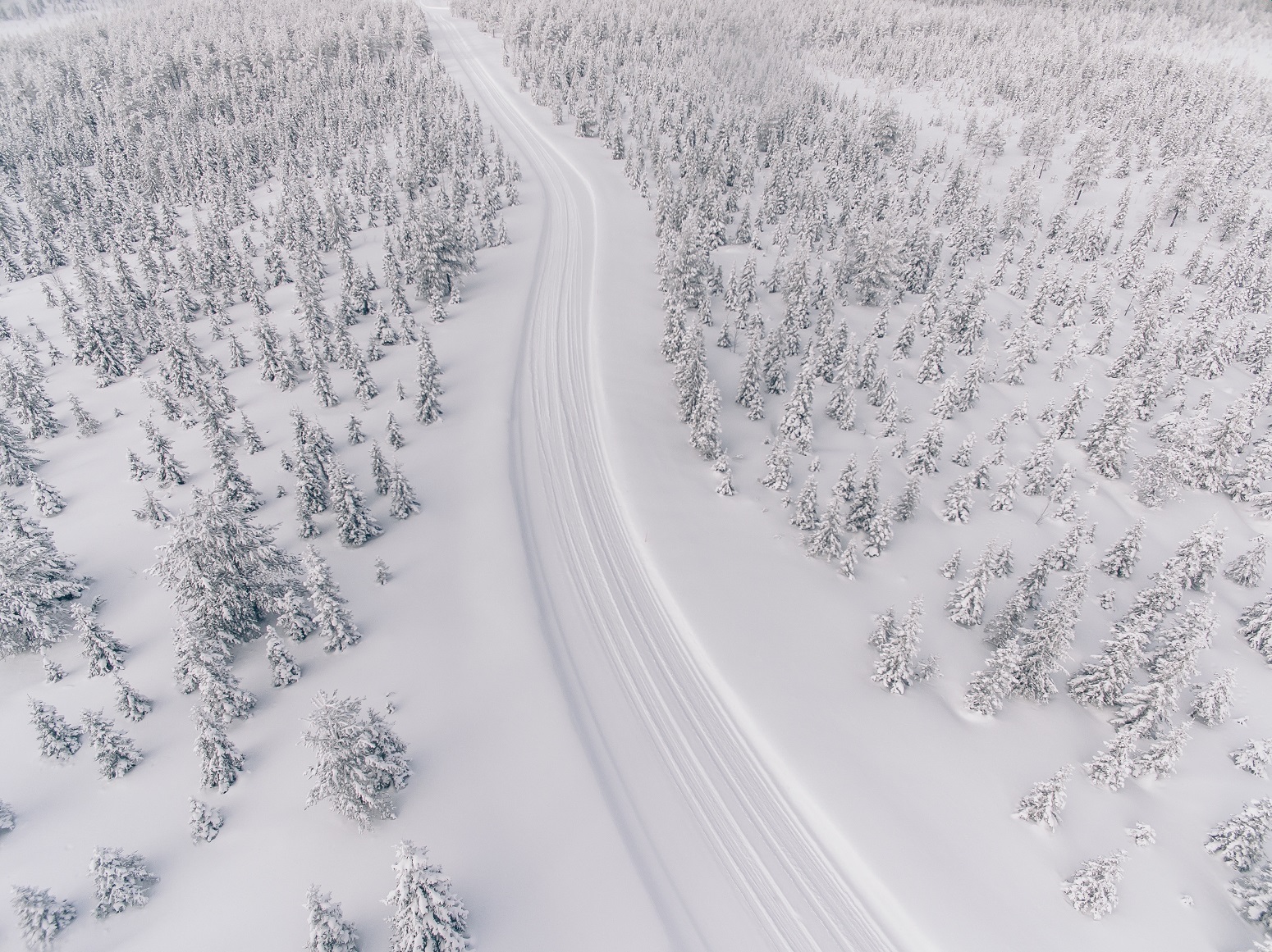 aventura maravillosa en laponia finlandia