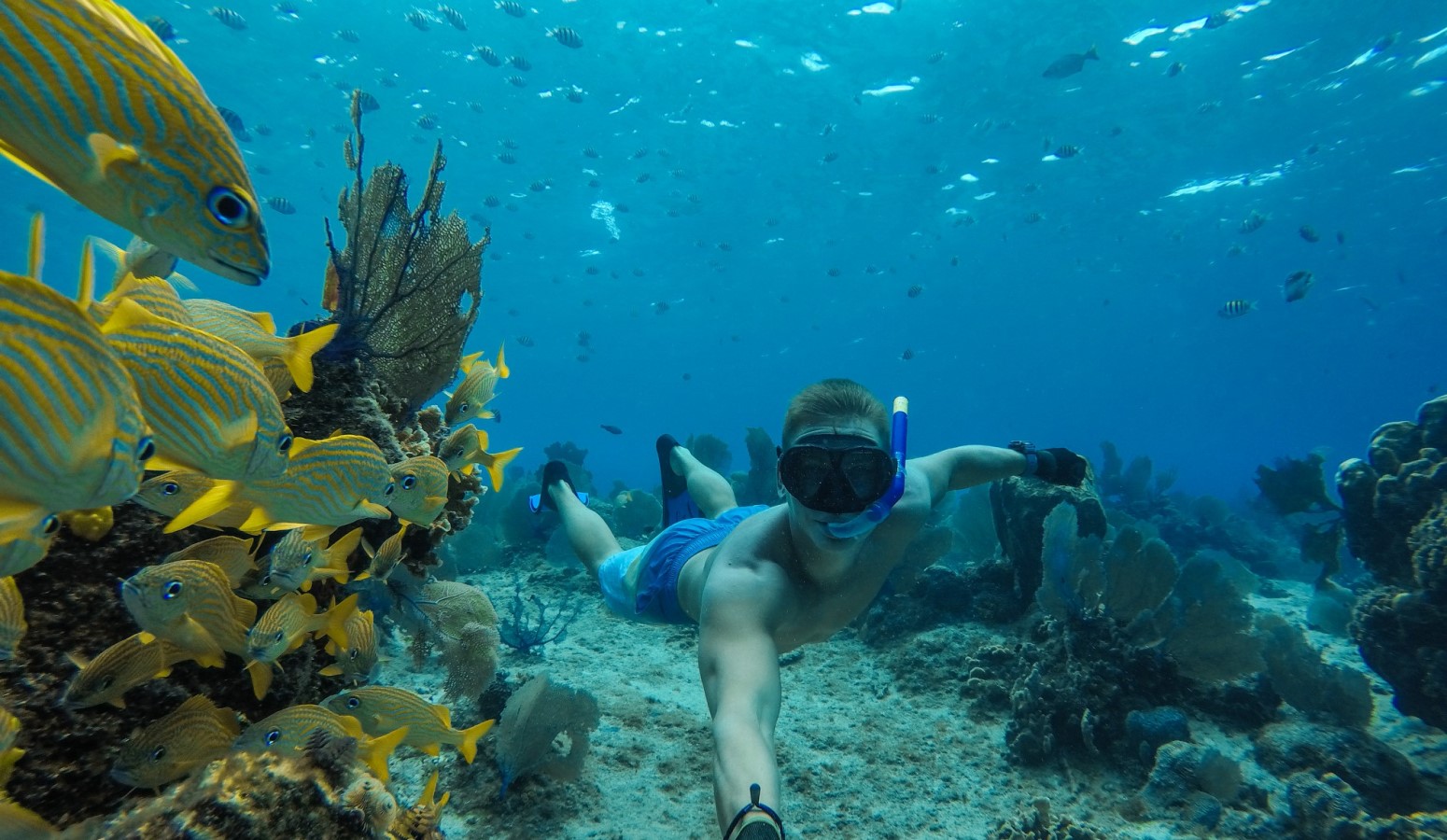 excursion cartagena vacacioens monoparentales