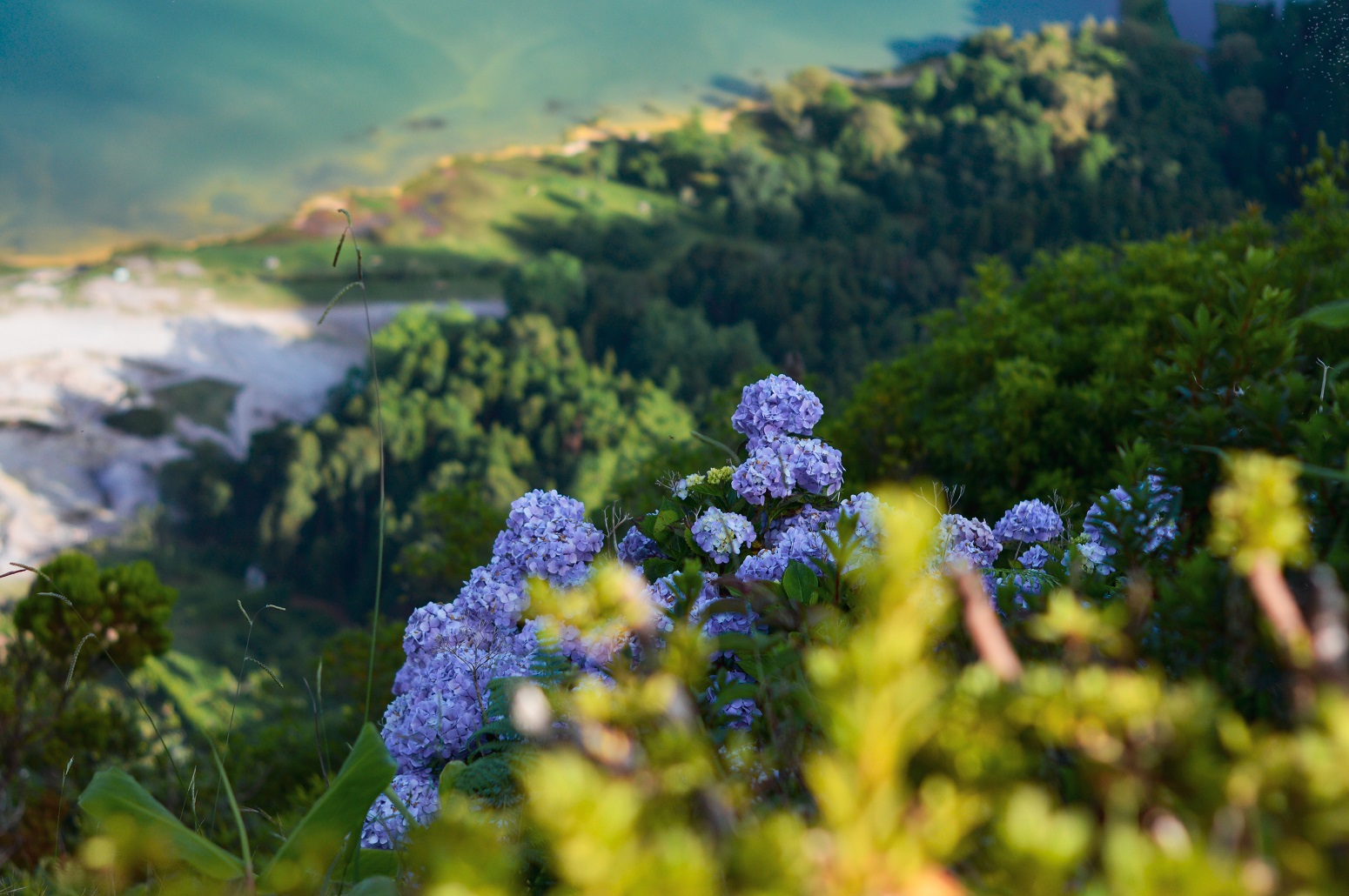 silvestre azores