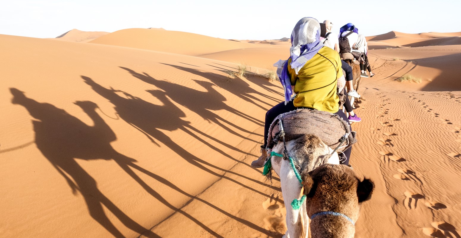 marruecos sahara desierto dromedarios