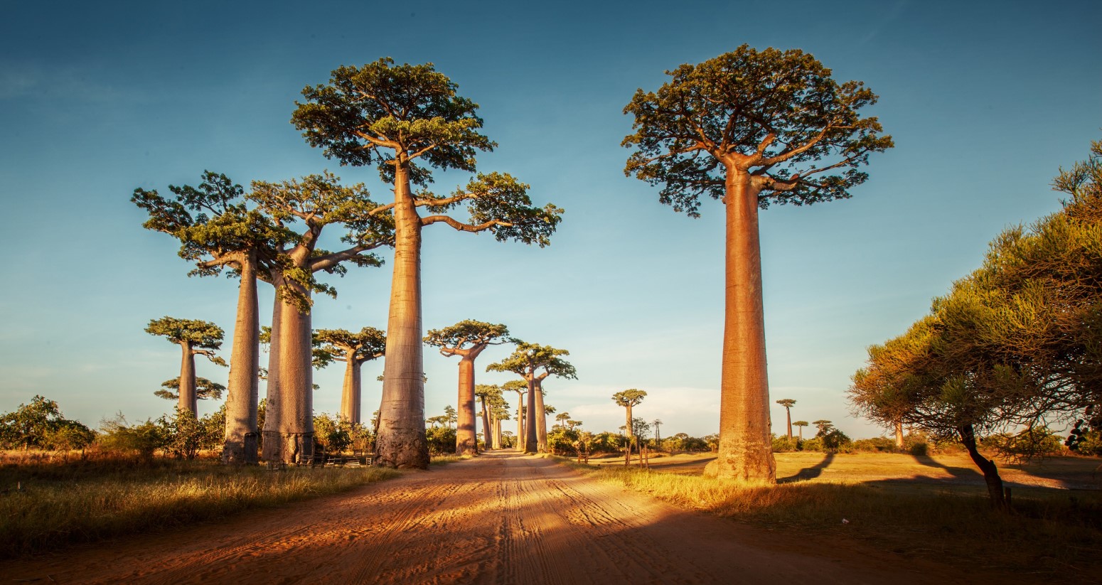 hotel riu baobab senegal viajar solo con niños