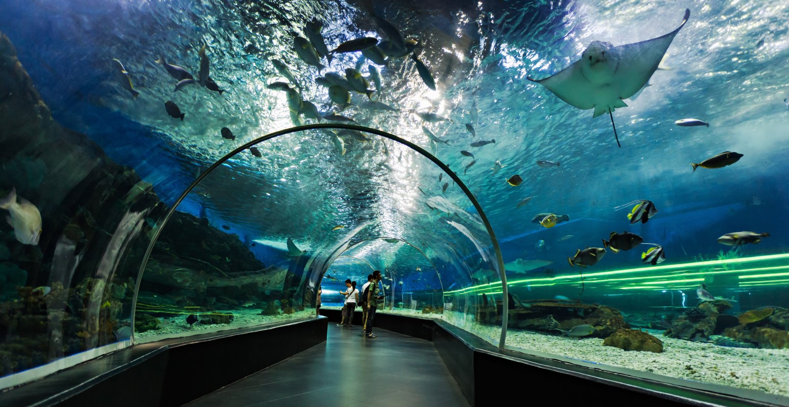 vacaciones monoparentales 2020 valencia ciudad artes ciencias oceanografic