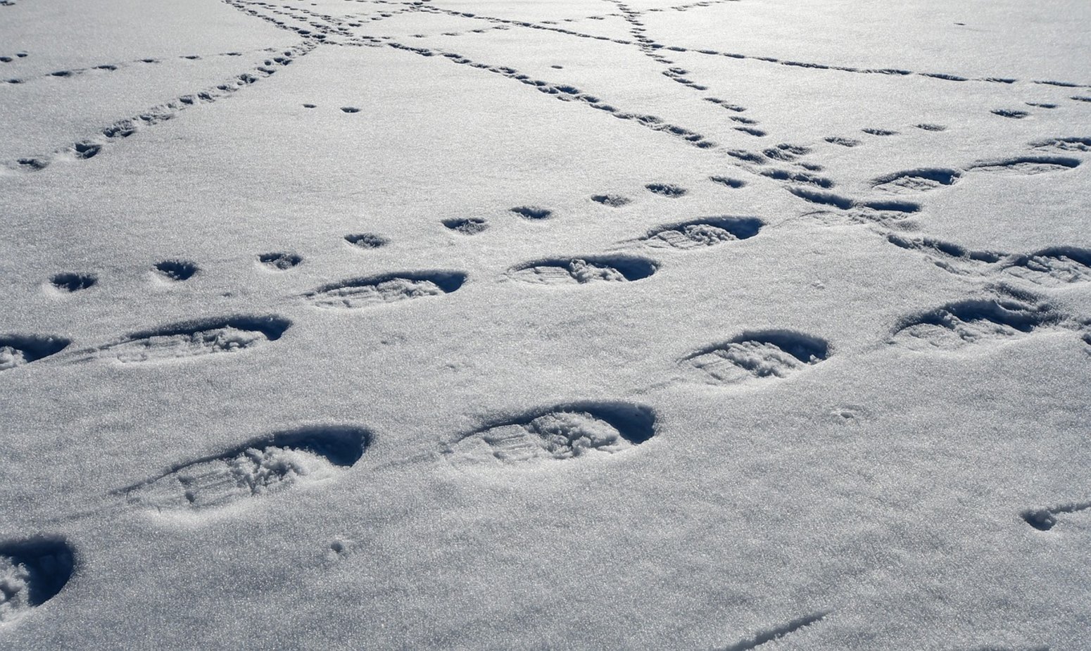 Huellas de raquetas en la nieve del Pirineo