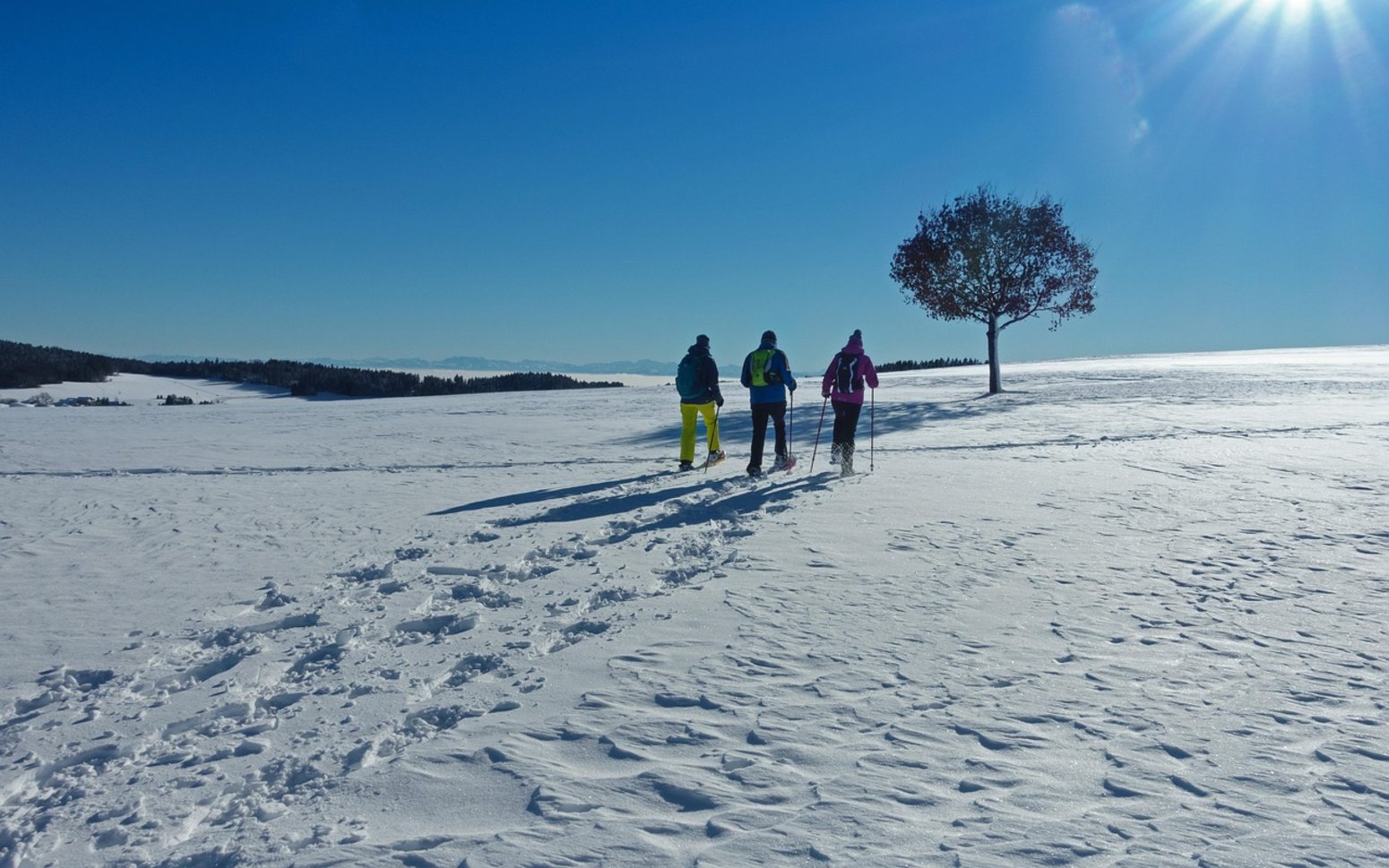 Raquetas de nieve en familia en el Pirineo