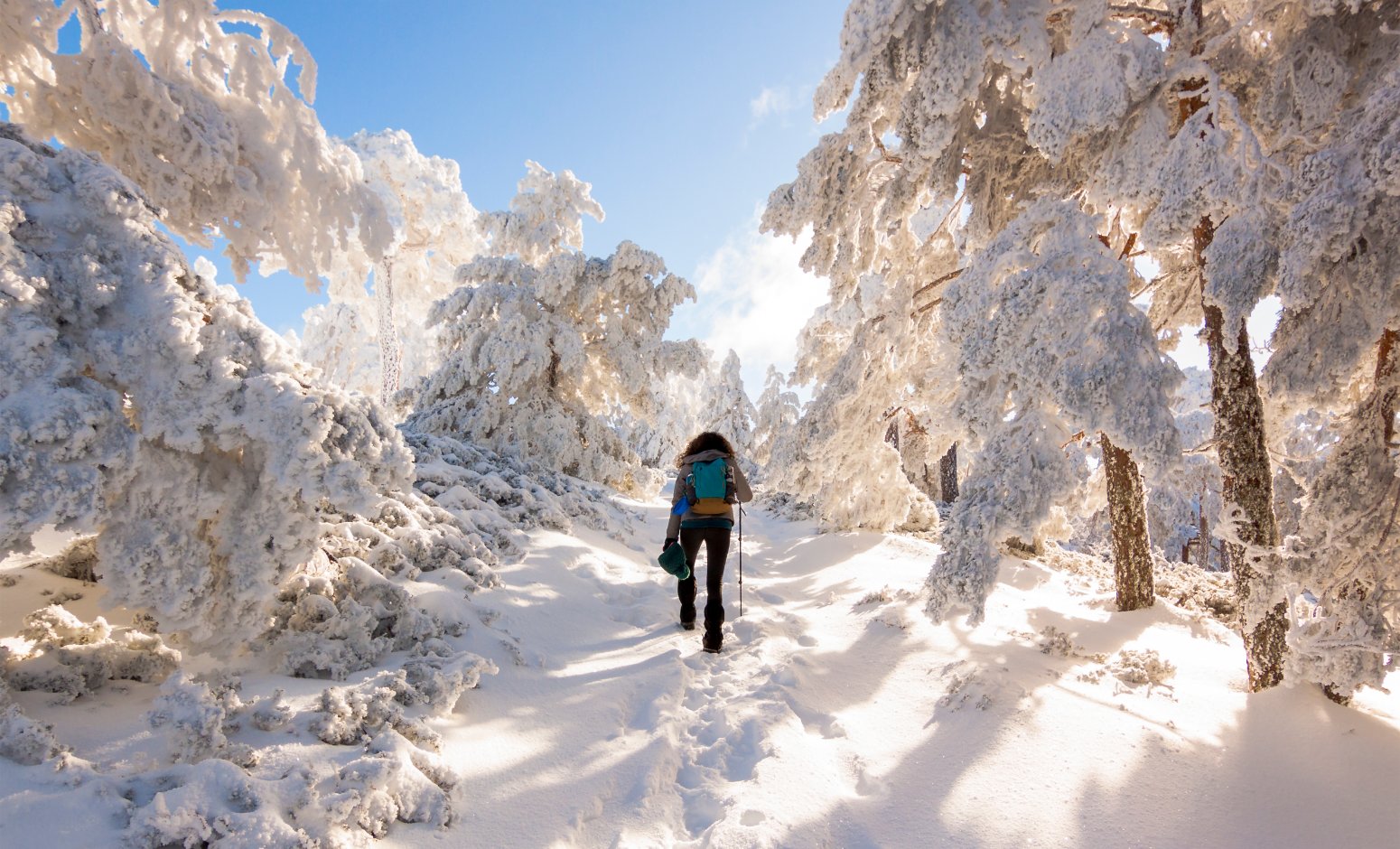sierra de guadarrama ruta nieve