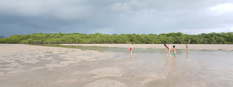 Anabel D. Verano 2017 en Costa Rica Buscando conchas en los manglares