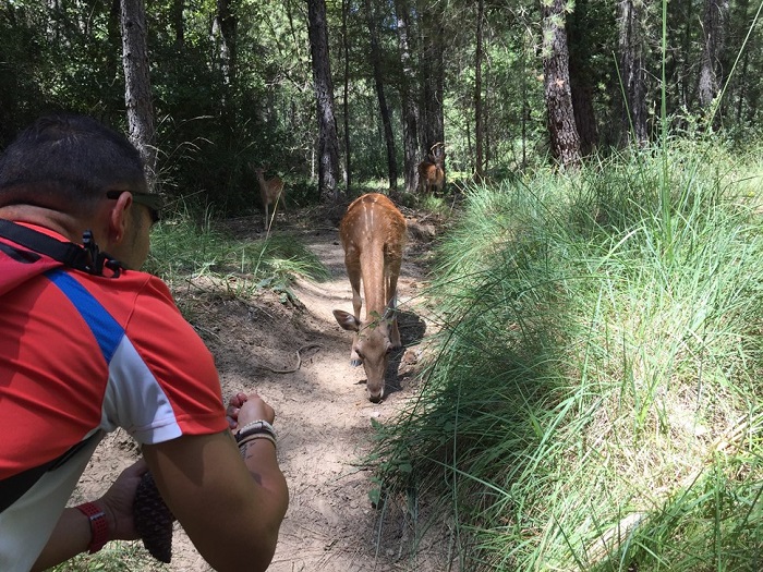 Gabriel Daniel M Multiaventura en Cazorla Animales salvajes a un metro