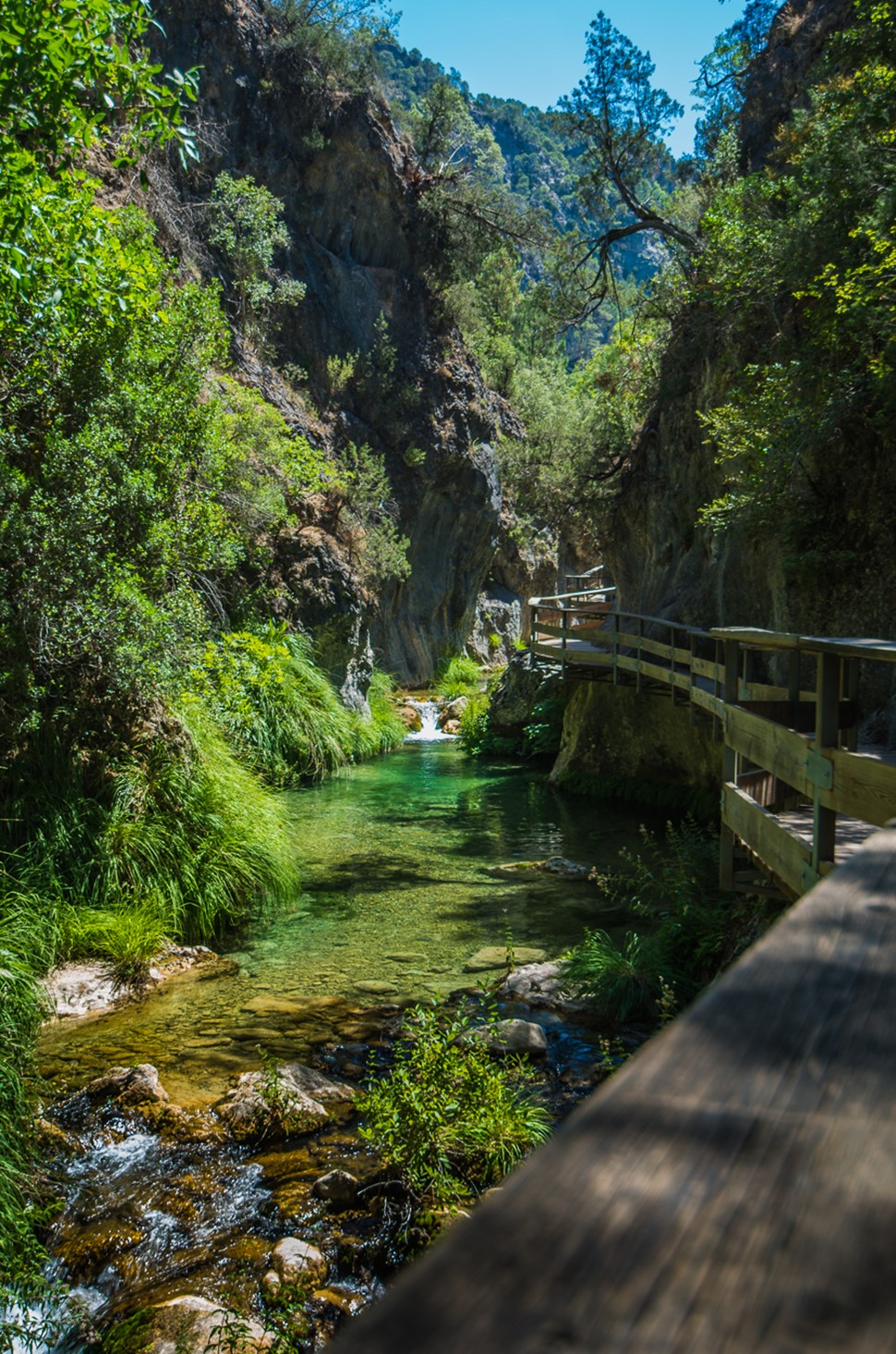 Jesús P Multiaventura en Cazorla Verano 2017 El agua en Cazorla