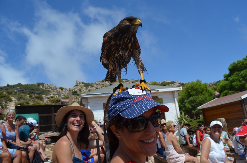 María H. Costa del Sol VIP Verano 2018 Algo voló sobre el Monte de Calamorro