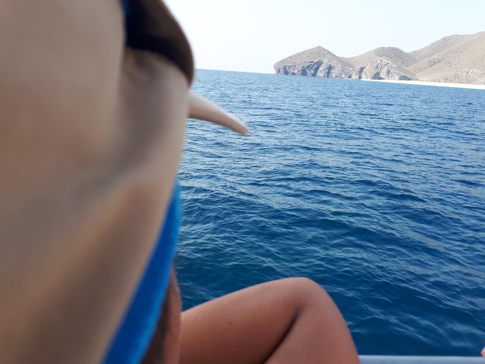 Maribel R Aventura en Cabo de Gata Mirando al mar