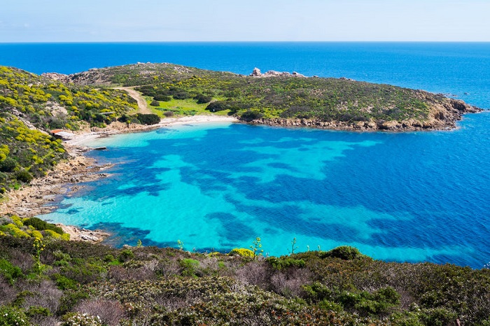 asinara vcth